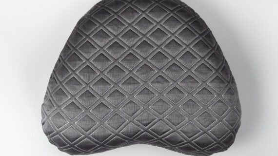 Intuition Pillow